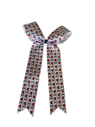 School Patterned Collegiate Style Bow