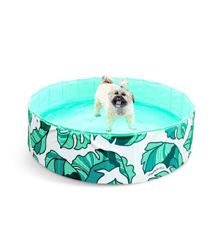 The That's Banana(leave)s Pup Dip™ Dog Pool
