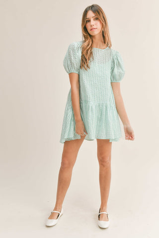Mini Puff Sleeve Mini Dress