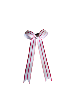 Striped Collegiate Style Bow